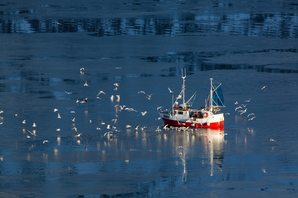Make Sure You are Complying with the Canada Shipping Act of 2001