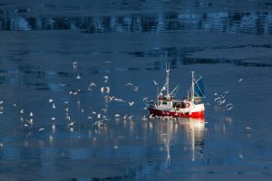 vessel registry