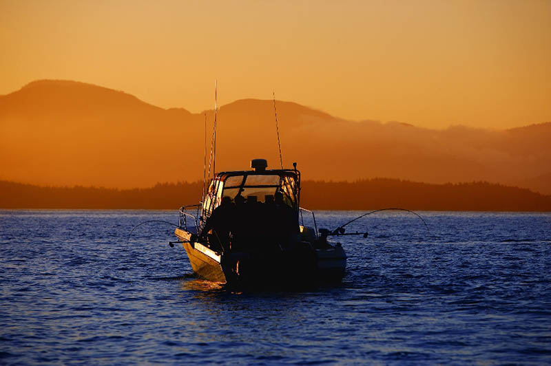 Getting Transcripts and Historical Research on a Vessel