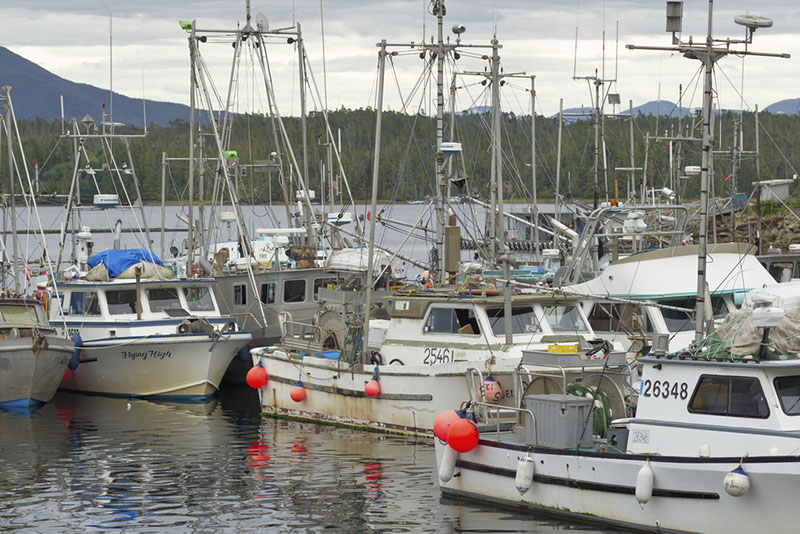 When Will You Need A Provisional Certificate For A Vessel?