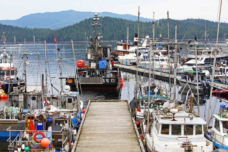 a Transport Canada Pleasure Craft Licence — Get a Transport Canada Pleasure Craft License