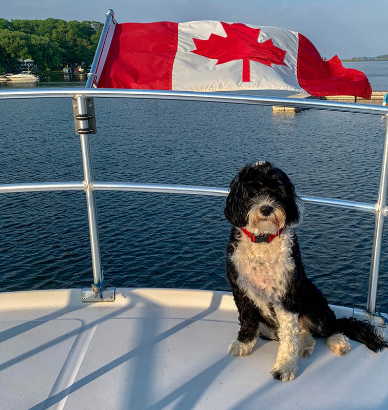 a Transport Canada Pleasure Craft Licence a Transport Canada Pleasure Craft Licence