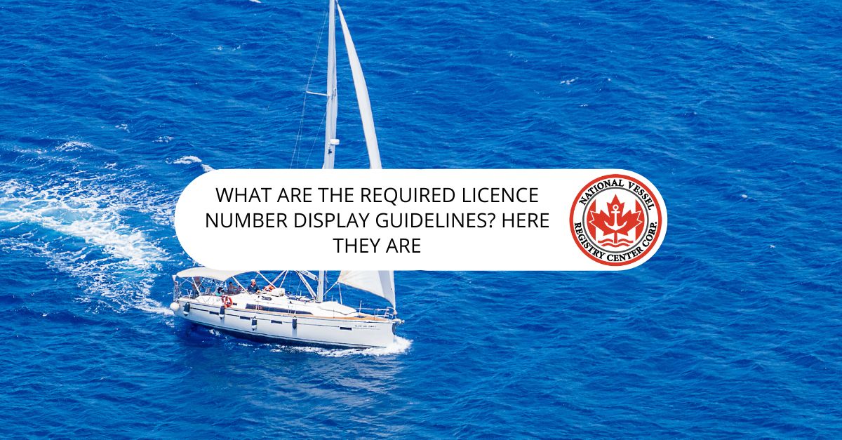 What Are the Required Licence Number Display Guidelines? Here They Are