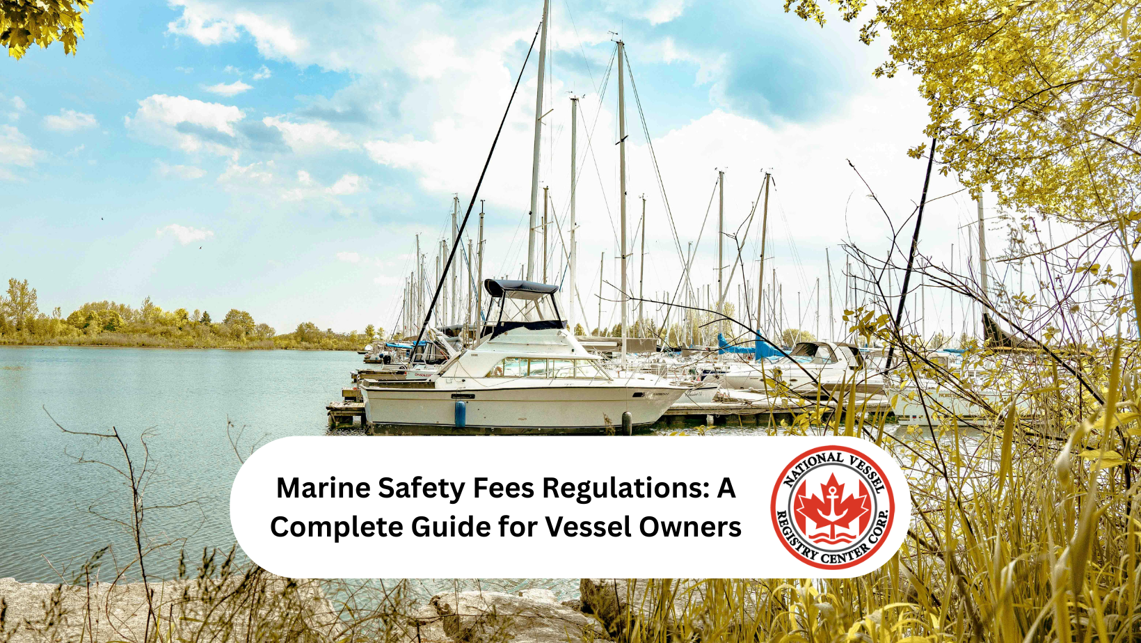 Marine Safety Fees Regulations: A Complete Guide for Vessel Owners
